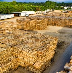 Paletleme Robotları